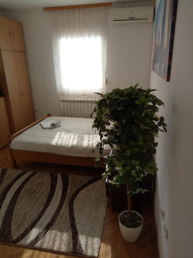 Apartment Cozy Belgrad